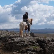 grandcanyons_2