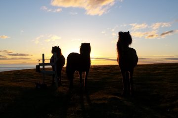 midnightsun_6