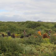 reykjanes_6